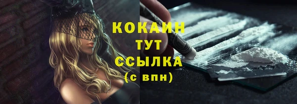 таблы Богородицк