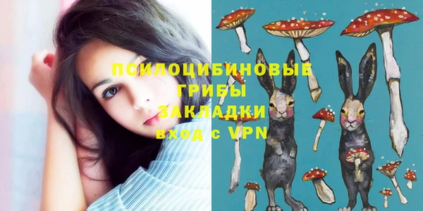 mdma Богородск