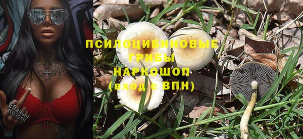 таблы Богородицк