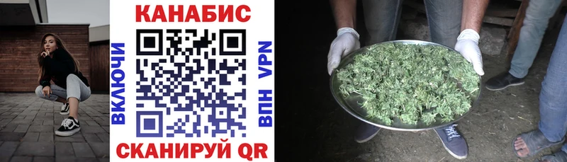 Конопля OG Kush Чишмы